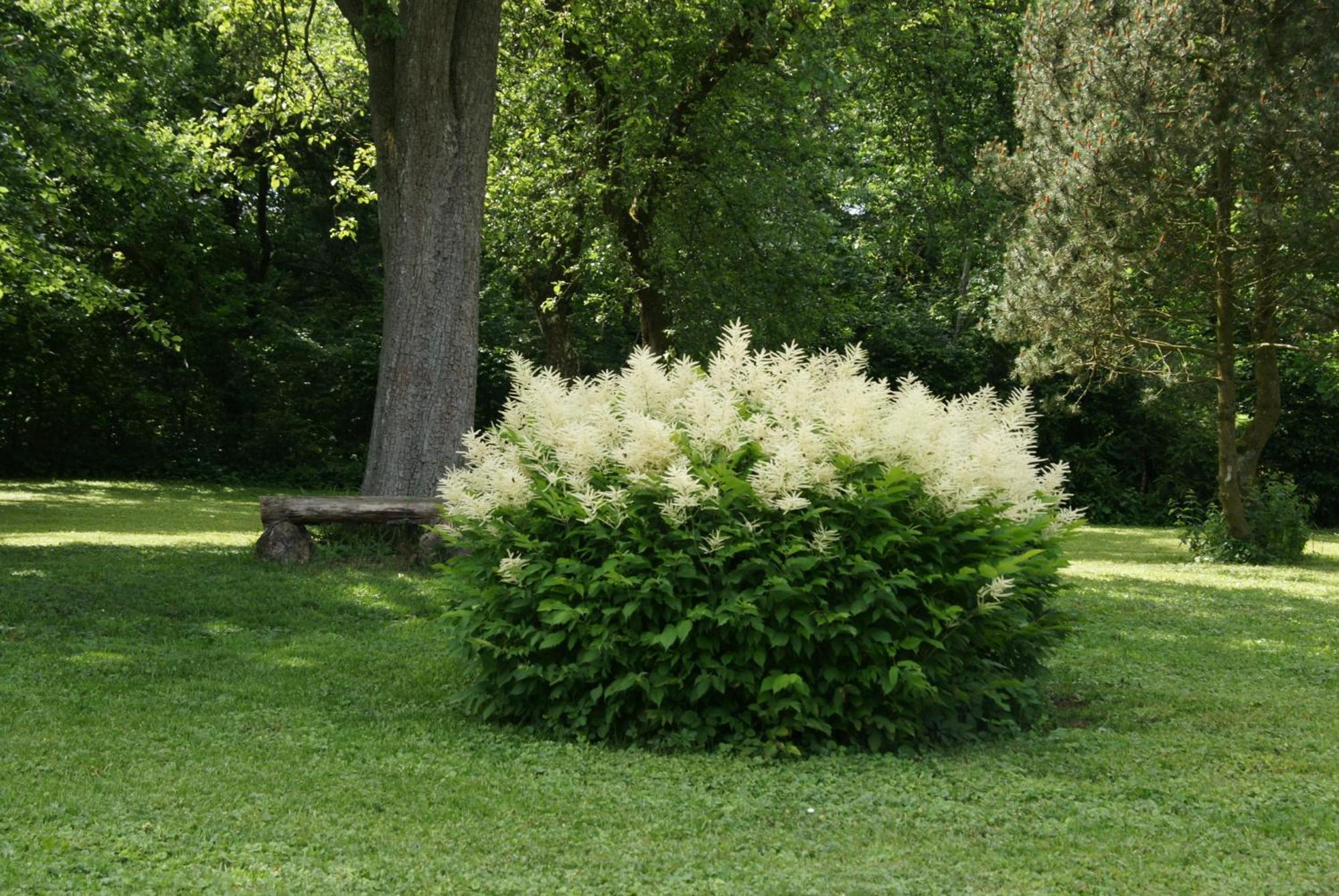 Landgasthof Em Lade Dahlem  Esterno foto